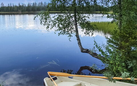 Seitsemän Savua 6: Træ, Sommerhus, Bjælkehytte, Skov, Skur, Garden Bygninger, Lærk, Woodland, Bejdse
