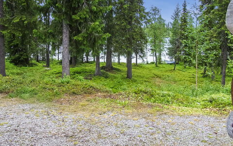 Seitsemän Savua 6: Træ, Sommerhus, Bjælkehytte, Skov, Skur, Garden Bygninger, Lærk, Woodland, Bejdse