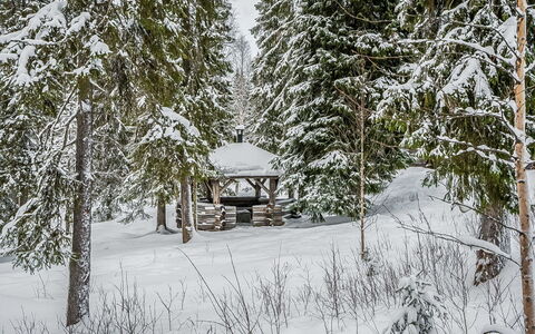 Seitsemän Savua 6: Sne, Afdeling, Vinter, Træ, Naturligt Miljø, Træ, Skov, Fryser, Kvist, Gazebo