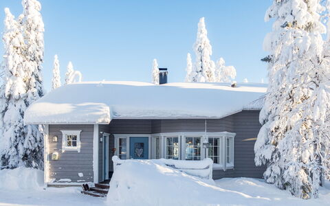 Vuosselinhovi C: Træ, Sommerhus, Bjælkehytte, Skov, Skur, Garden Bygninger, Lærk, Woodland, Bejdse