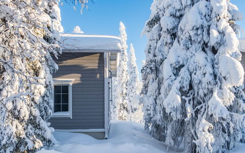 Vuosselinhovi C: Træ, Sommerhus, Bjælkehytte, Skov, Skur, Garden Bygninger, Lærk, Woodland, Bejdse