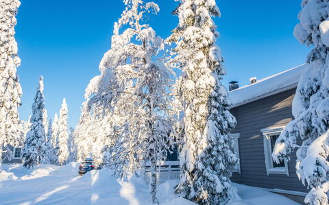 Vuosselinhovi C: Træ, Sommerhus, Bjælkehytte, Skov, Skur, Garden Bygninger, Lærk, Woodland, Bejdse