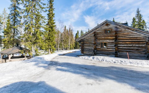 Seitsemän Savua 3: Sne, Træ, Vinter, Afdeling, Landskab, Sommerhus, Fryser, Tag, Bjælkehytte, Lærk