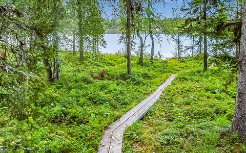 Seitsemän Savua 3: Grøn, Naturligt Miljø, Vegetationen, Naturlige Landskab, Plantesamfund, Skov, Ødemark, Bunddække, Naturreservat