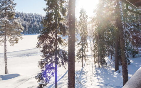 Kuusimaja: Sne, Afdeling, Vinter, Træ, Naturligt Miljø, Natur, Skov, Landskab, Fryser
