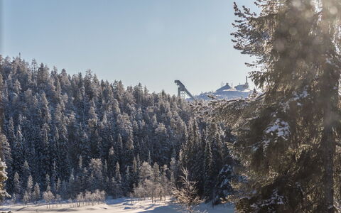 Kuusimaja: Sne, Træ, Vinter, Afdeling, Fryser, Skov, Geologiske Fænomen, Lærk, Hældning