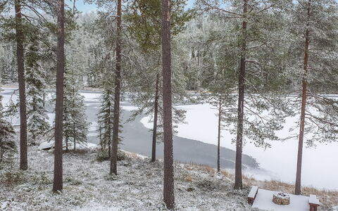 Kuusimaja: Afdeling, Træ, Vinter, Sne, Skov, Ødemark, Kvist, Fryser, Bagagerum