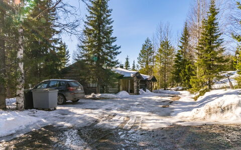 Pihlakieppi 2: Sne, Træ, Afdeling, Naturligt Miljø, Vinter, Fryser, Sommerhus, Lærk, Hældning