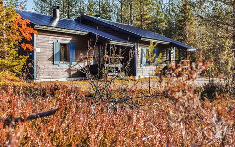 Salakolo 1: Træ, Sommerhus, Bjælkehytte, Skov, Skur, Garden Bygninger, Lærk, Woodland, Bejdse