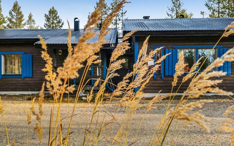 Salakolo 1: Træ, Sommerhus, Bjælkehytte, Skov, Skur, Garden Bygninger, Lærk, Woodland, Bejdse