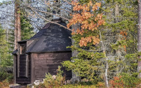 Salakolo 1: Træ, Skov, Bagagerum, Woodland, Hytte, Skur, Sommerhus, Hytte, Kvist, Garden Bygninger