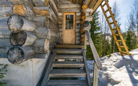 Rinnekieppi 2: Træ, Sommerhus, Bjælkehytte, Skov, Skur, Garden Bygninger, Lærk, Woodland, Bejdse