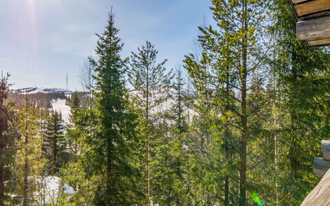 Rinnekieppi 2: Træ, Sommerhus, Bjælkehytte, Skov, Skur, Garden Bygninger, Lærk, Woodland, Bejdse