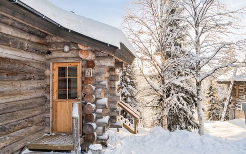 Rukajoiku 1: Træ, Sommerhus, Bjælkehytte, Skov, Skur, Garden Bygninger, Lærk, Woodland, Bejdse