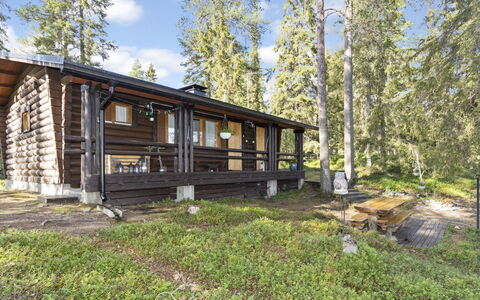 Kesäranta 2: Træ, Sommerhus, Bjælkehytte, Skov, Skur, Garden Bygninger, Lærk, Woodland, Bejdse