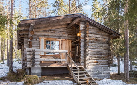 Retkietappi Honkapirtti: Træ, Sommerhus, Bjælkehytte, Skov, Skur, Garden Bygninger, Lærk, Woodland, Bejdse
