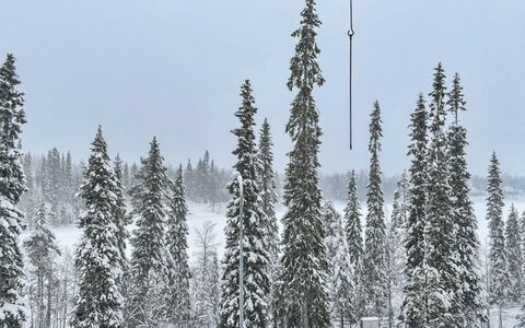 Ruka Sunhill: Træ, Sommerhus, Bjælkehytte, Skov, Skur, Garden Bygninger, Lærk, Woodland, Bejdse