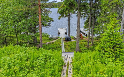 Aino: Træ, Sommerhus, Bjælkehytte, Skov, Skur, Garden Bygninger, Lærk, Woodland, Bejdse