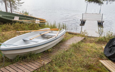 Aino: Træ, Sommerhus, Bjælkehytte, Skov, Skur, Garden Bygninger, Lærk, Woodland, Bejdse
