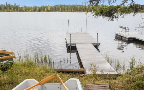 Aino: Træ, Sommerhus, Bjælkehytte, Skov, Skur, Garden Bygninger, Lærk, Woodland, Bejdse