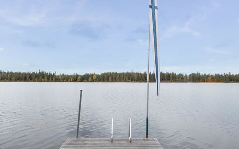 Aino: Træ, Sommerhus, Bjælkehytte, Skov, Skur, Garden Bygninger, Lærk, Woodland, Bejdse