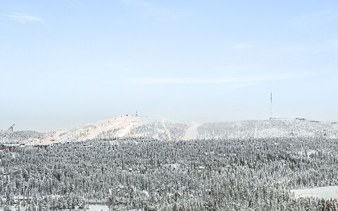 Aino: Træ, Sommerhus, Bjælkehytte, Skov, Skur, Garden Bygninger, Lærk, Woodland, Bejdse