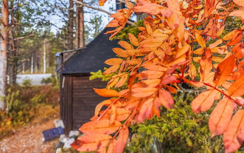 Salakolo 2: Træ, Vinter, Sne, Hjem, Sommerhus, Fryser, Sidespor, Bjælkehytte, Is