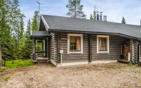 Kieppi a: Træ, Sommerhus, Bjælkehytte, Skov, Skur, Garden Bygninger, Lærk, Woodland, Bejdse