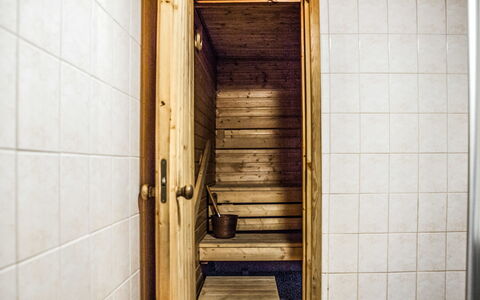 Kieppi B: Træ, Sommerhus, Bjælkehytte, Skov, Skur, Garden Bygninger, Lærk, Woodland, Bejdse