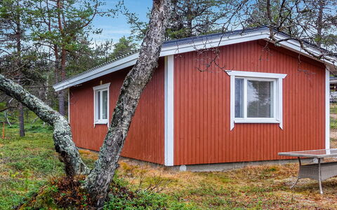 Mellaniemi: Træ, Sommerhus, Bjælkehytte, Skov, Skur, Garden Bygninger, Lærk, Woodland, Bejdse