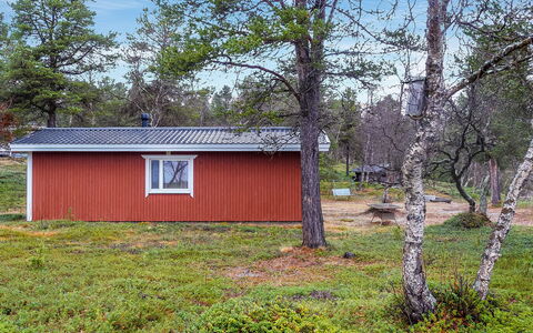 Mellaniemi: Træ, Sommerhus, Bjælkehytte, Skov, Skur, Garden Bygninger, Lærk, Woodland, Bejdse