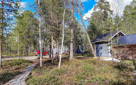 Hoviranta: Træ, Træ, Plantesamfund, Land Lot, Woodland, Skov, Bagagerum, Sommerhus, Lund, Skur