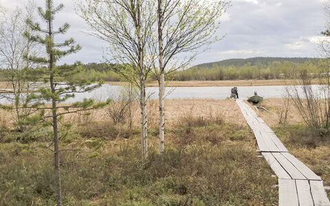 Hoviranta: Træ, Naturligt Miljø, Naturlige Landskab, Ødemark, Plantesamfund, Bank, Naturreservat, Marsk