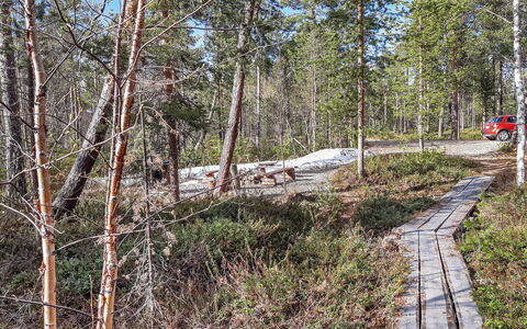 Hoviranta: Træ, Naturligt Miljø, Træ, Skov, Sti, Ødemark, Plantesamfund, Woodland, Bagagerum