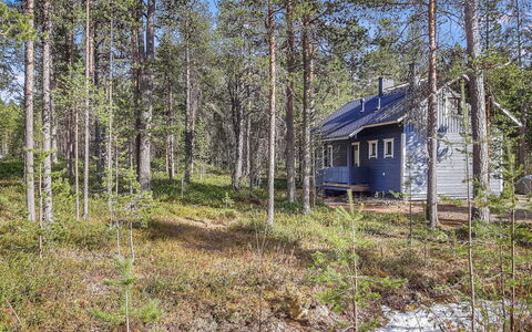 Hoviranta: Træ, Træ, Plantesamfund, Woodland, Skov, Land Lot, Sommerhus, Bagagerum, Lund, Northern Løvskov