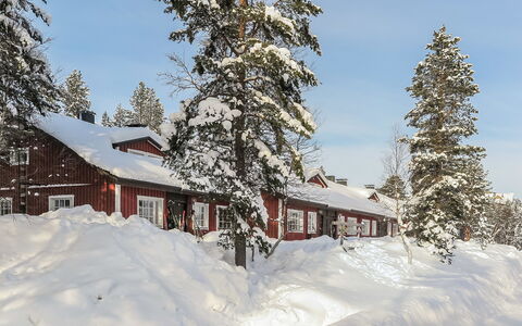 Soidinaukea B 20: Træ, Sommerhus, Bjælkehytte, Skov, Skur, Garden Bygninger, Lærk, Woodland, Bejdse