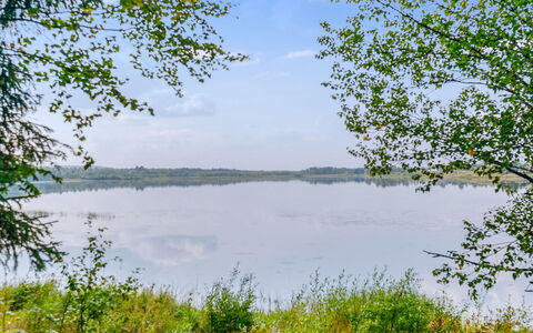 Levinstone: Træ, Sne, Vinter, Sommerhus, Fryser, Hjem, Bjælkehytte, Lærk, Sidespor