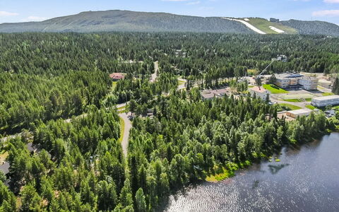 Levinstone: Træ, Naturligt Miljø, Luftfotografering, Fugleperspektiv, Landskab, Skov, Land Lot, Hill Station