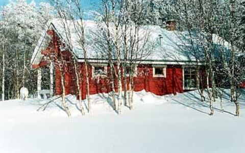Karpalo: Træ, Hus, Sne, Sommerhus, Hjem, Vinter, Tag, Fryser, Sidespor, Hældning