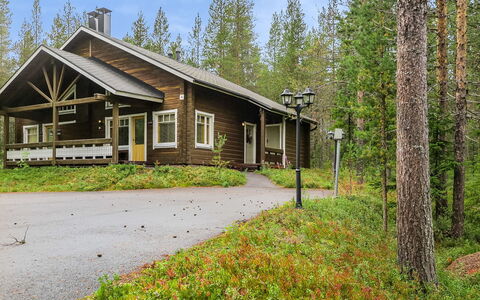 Artturi: Træ, Sommerhus, Bjælkehytte, Skov, Skur, Garden Bygninger, Lærk, Woodland, Bejdse