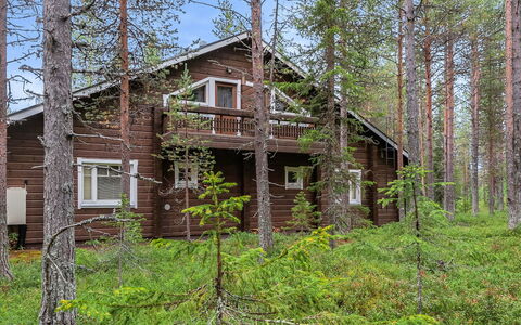 Artturi: Træ, Sommerhus, Bjælkehytte, Skov, Skur, Garden Bygninger, Lærk, Woodland, Bejdse