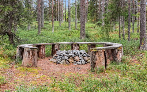 Artturi: Træ, Sommerhus, Bjælkehytte, Skov, Skur, Garden Bygninger, Lærk, Woodland, Bejdse