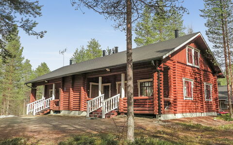 Levintähkä B: Træ, Sommerhus, Bjælkehytte, Skov, Skur, Garden Bygninger, Lærk, Woodland, Bejdse