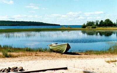 Mäntyaho
