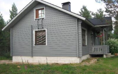 Mäntyaho