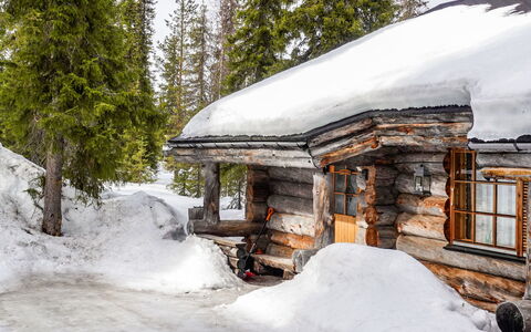 Kelo-Ville: Træ, Sne, Vinter, Sommerhus, Fryser, Hjem, Bjælkehytte, Lærk, Sidespor