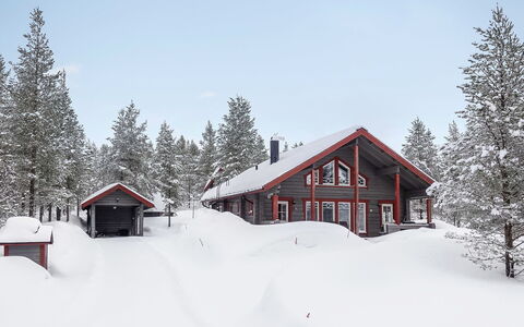 Kerkänperä: Træ, Sne, Vinter, Sommerhus, Fryser, Hjem, Bjælkehytte, Lærk, Sidespor