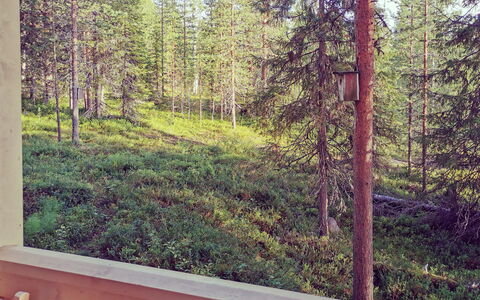 Käenkukka: Træ, Sne, Vinter, Sommerhus, Fryser, Hjem, Bjælkehytte, Lærk, Sidespor