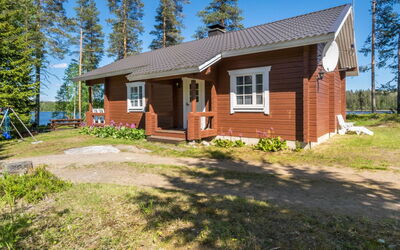 Pajulintu