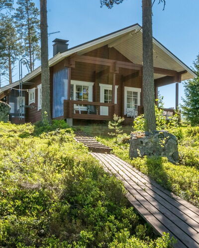 Pajulintu